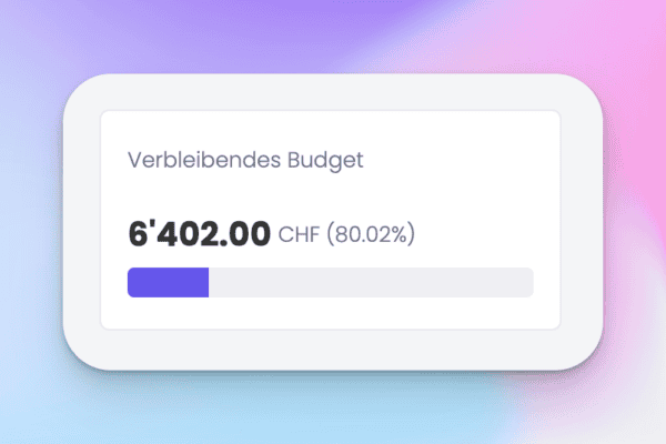 projekt budget